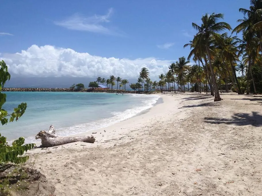 Charmant Studio Emplacement De Choix - Casino Le Gosier  Guadalupe
